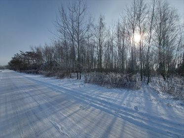 działka na sprzedaż 1346m2 działka Wąsy-Kolonia