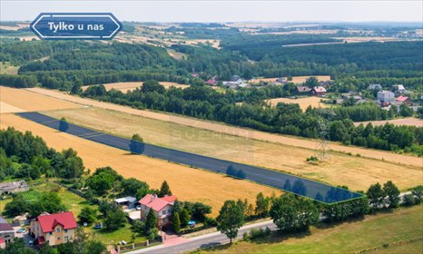 działka na sprzedaż 8778m2 działka Siedlec, Kazimierza Wielkiego