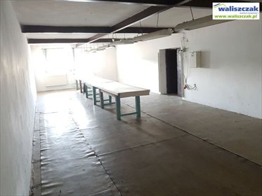 Wynajem 300 m² w Piotrkowie, atrakcyjna cena - polecam! lokal użytkowy Piotrków Trybunalski, 1 Maja