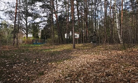 Rosanowów, działka 4126 m² z potencjałem podziału działka Rosanów, Rozrywkowa