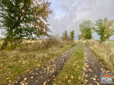 Działka 5936 m² pod inwestycję w Gryficach z własną studnią działka Gryfice, obrzeża
