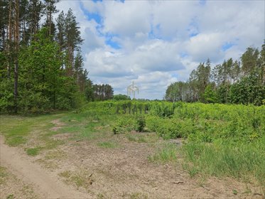 Działka 3500 m² z warunkami zabudowy i lasem, dojazd działka Skrybicze