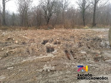 Działka przemysłowo-handlowa na sprzedaż Jasień 29 430m2 Foto 3