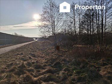 działka na sprzedaż 8900m2 działka Radziejowice-Parcel