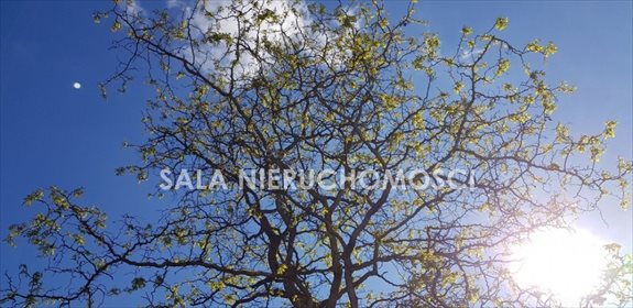 działka na sprzedaż 951m2 działka Nowy Jasiniec