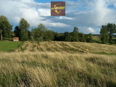 Działka inna na sprzedaż Rogale 24 500m2 Foto 5