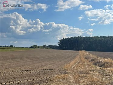 Działka budowlana 700 m² w Szydłowie, las, media, w trakcie warunków działka Szydłowo