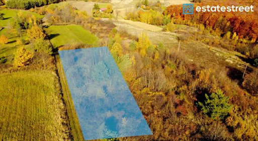 działka na sprzedaż 2700m2 działka Pruchnik