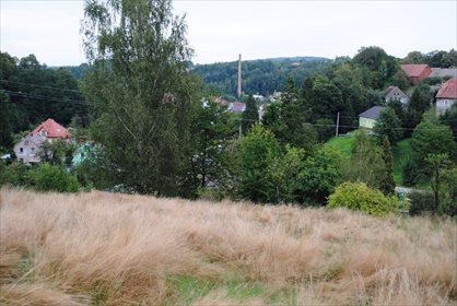 Działka budowlana na sprzedaż Miłoszów 6 500m2 Foto 1