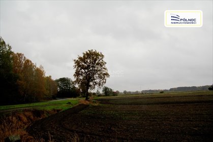 działka na sprzedaż 5000m2 działka Charbice Dolne