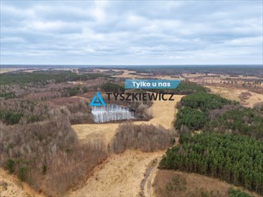 działka na sprzedaż 77072m2 działka Pasieka