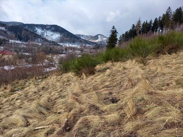 działka na sprzedaż 4700m2 działka Jedlina-Zdrój, Glinica