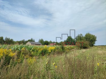 działka na sprzedaż 67300m2 działka Gurba