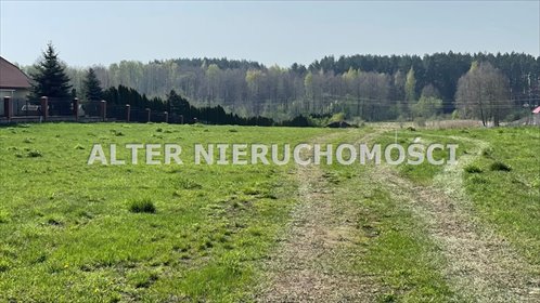 działka na sprzedaż 1500m2 działka Ignatki