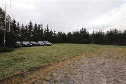 działka na wynajem 2200m2 działka Police