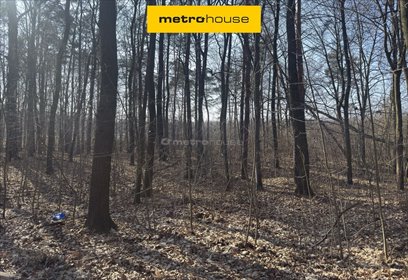 Działka leśna 8866 m² w Krasicach - idealna pod dom polecam działka Krasice