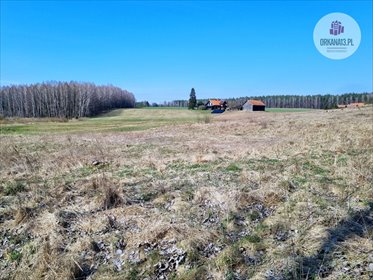 Działka budowlana na sprzedaż Biesówko, Biesówko 5 771m2 Foto 3