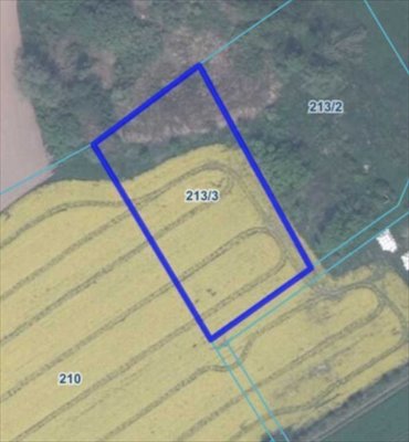 Polecam działkę 3409 m² pod inwestycję w Julianowie działka Julianowo