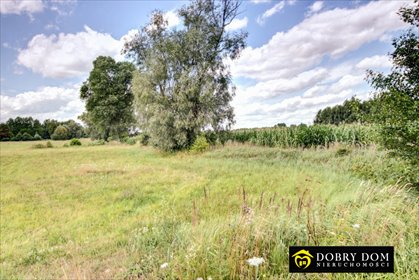 działka na sprzedaż 4100m2 działka Orzechowicze