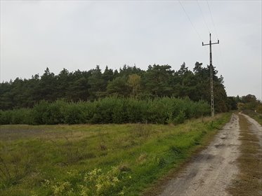 Zapraszam do zakupu działki leśnej 2,1 ha z możliwością zabudowy działka Bałdrzychów