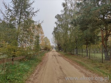 Urokliwa działka nad Wkrą z brzozowym zagajnikiem działka Szumlin