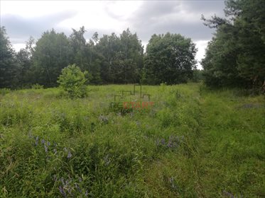działka na sprzedaż 16757m2 działka Gąba