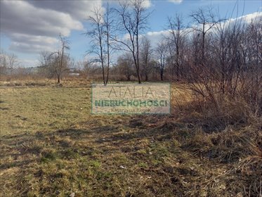 Działka 2 652 m² pod inwestycję blisko Parku Mazowsze działka Pruszków, Żbików