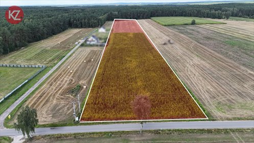 Polecam działkę inwestycyjną 26 636 m² w Kaczorach działka Kaczory, Jagodowa