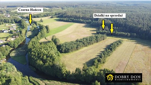 Działki rolne pod Wigierskim Parkiem – cisza i natura działka Sarnetki