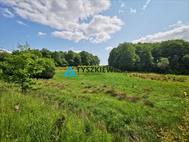 Urokliwa działka 2997 m² pod dom lub rekreację, las i rzeka działka Trzepowo, Cystersów