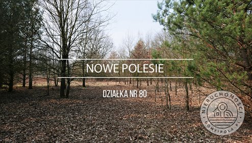 działka na sprzedaż 13700m2 działka Nowe Polesie
