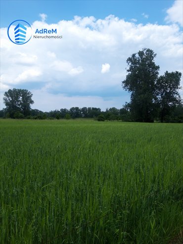 działka na sprzedaż 15869m2 działka Podłęcze