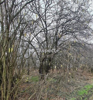 działka na sprzedaż 819m2 działka Łaziska