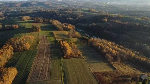 Sprzedam działkę 56 arów w Brzezinach z warunkami zabudowy działka Brzeziny
