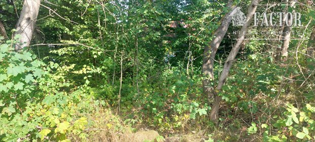 działka na sprzedaż 993m2 działka Łosie