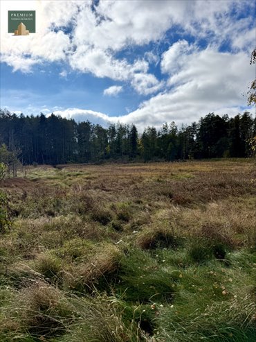 Działka rolna 4500 m2 w Werpolu - inwestycja lub rekreacja działka Werpol