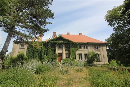 Zabytkowy XVIII-wieczny pałac z unikalnymi płaskorzeźbami dom Sieroszowice