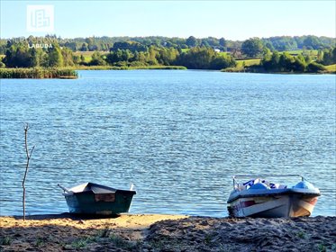 Działki nad jeziorem Przęsin - linia brzegowa, las, plaża działka Przęsin
