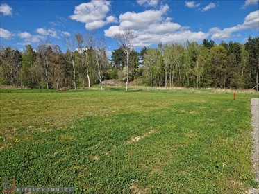 działka na sprzedaż 800m2 działka Masłomiąca