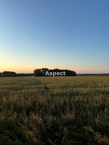 działka na sprzedaż 11560m2 działka Pruchna