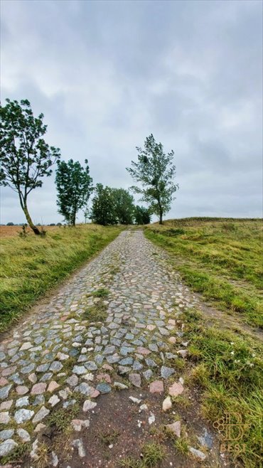 działka na sprzedaż 16543m2 działka Brzesko