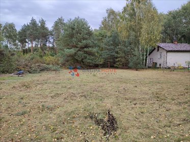 Urokliwa działka 1000 m² z mediami i lasem w Marylce działka Marylka