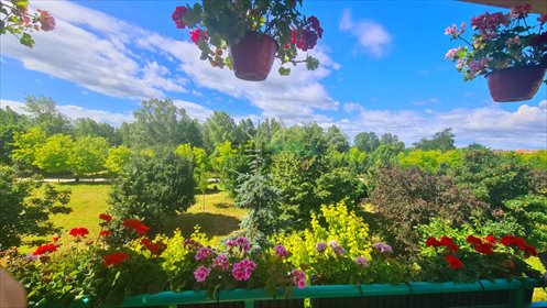 Przestronne 3 pokoje z widokiem na Park Migdałowy polecam mieszkanie Wrocław, Krzyki, Cukrowa