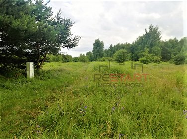 Działka rolna 16 757 m² z rzeczką, blisko Suntago działka Gąba