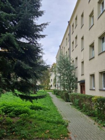 mieszkanie na wynajem 45m2 mieszkanie Katowice, Koszutka, Morcinka