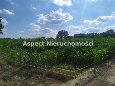 Działka inna na sprzedaż Nowy Lubiel 4 484m2 Foto 1