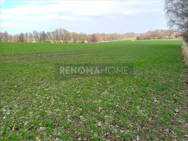 Działka budowlana na sprzedaż Witoszów Górny 1 518m2 Foto 5