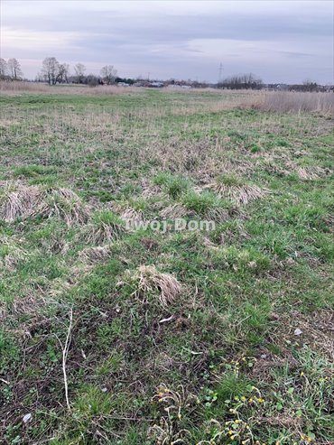 Działka budowlana 778 m² w Nowym Dąbiu - cisza i spokój działka Nowe Dąbie