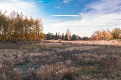 działka na sprzedaż 1349m2 działka Krosno, Krosno