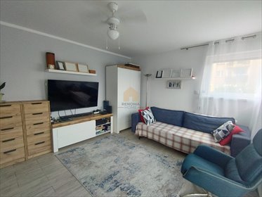 Mieszkanie 45,77 m² - 2 pokoje w Legnicy z dużą piwnicą mieszkanie Legnica